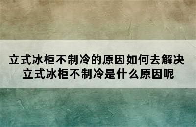 立式冰柜不制冷的原因如何去解决 立式冰柜不制冷是什么原因呢